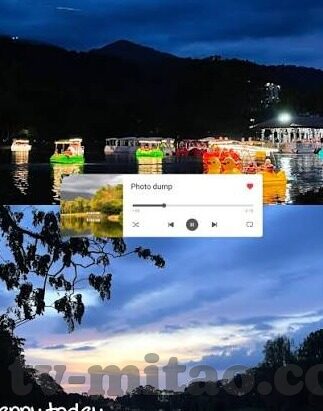 集梦传媒和大象传媒-集梦传媒与大象传媒，双翼齐飞，共绘传媒新蓝图