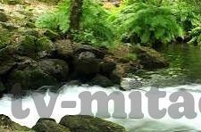 免费日韩av电影-免费日韩AV电影，文化与法律的灰色地带